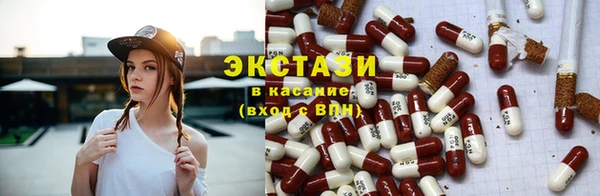 гашик Алексин