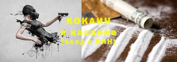 прущие грибы Алексеевка
