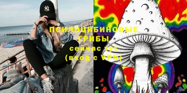 прущие грибы Алексеевка
