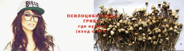 прущие грибы Алексеевка