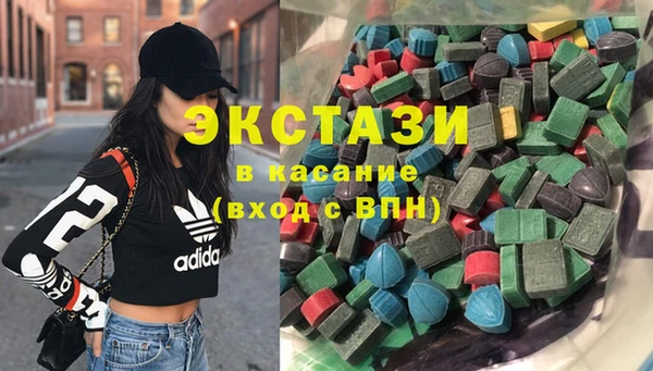 гашик Алексин