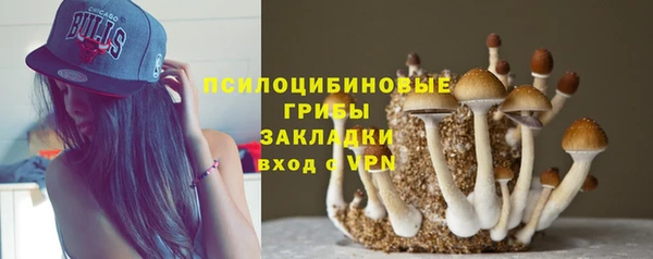 прущие грибы Алексеевка