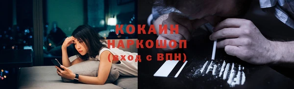 гашик Алексин