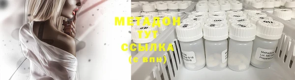 прущие грибы Алексеевка