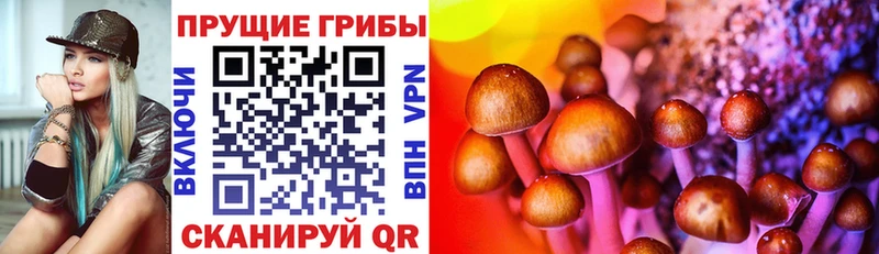 МЕГА   Боготол  Галлюциногенные грибы прущие грибы 